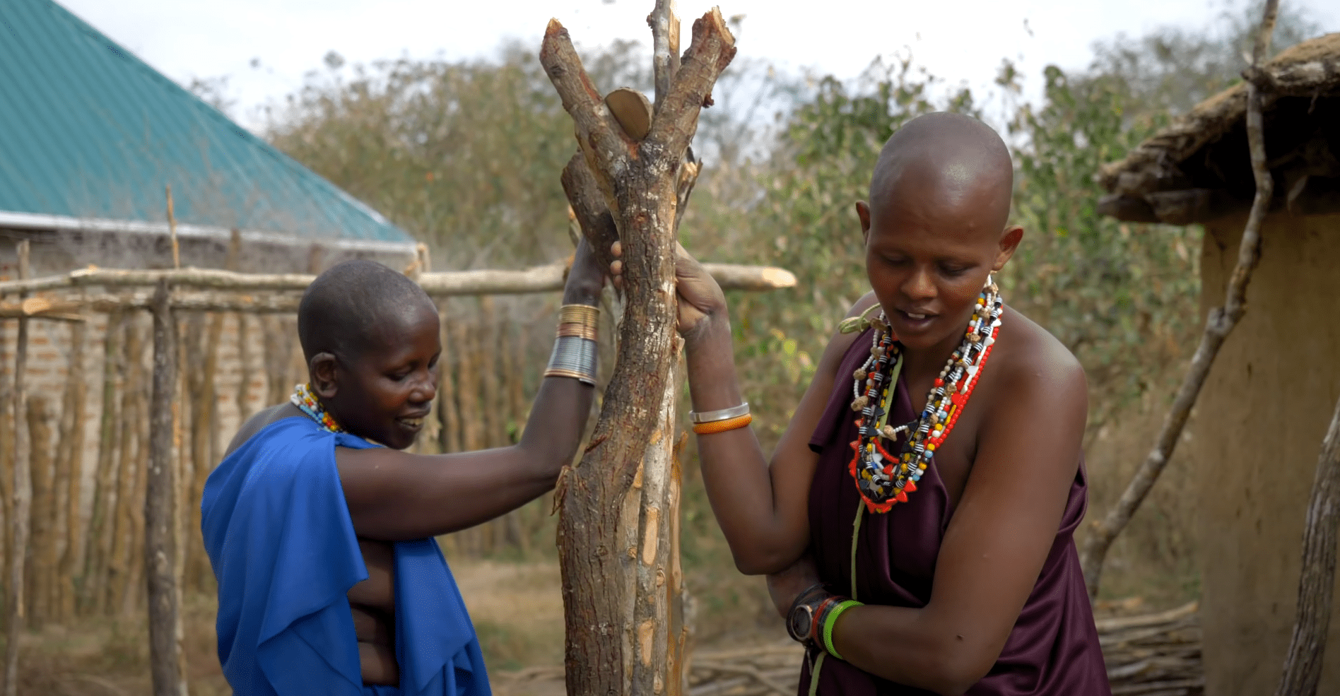 Dzień W Buszu I życie I Zwyczaje Masajów